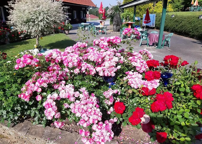Gaestehaus Zur Schoenen Aussicht Wies