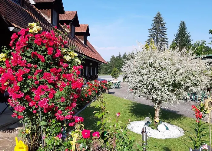 Gaestehaus Zur Schoenen Aussicht فندق 3*